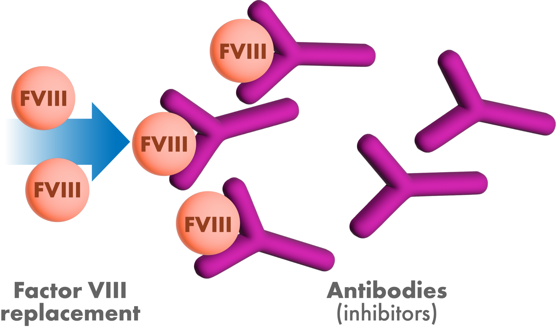 Fviii Inhibitor Development Summary Biomarin Medical En Us