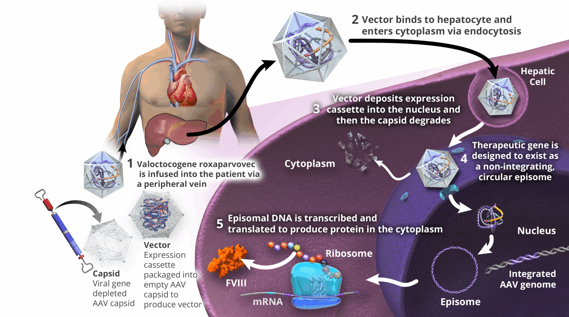 Graphic outlining malignancy