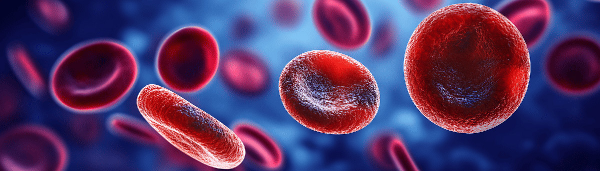 Red blood cells graphic